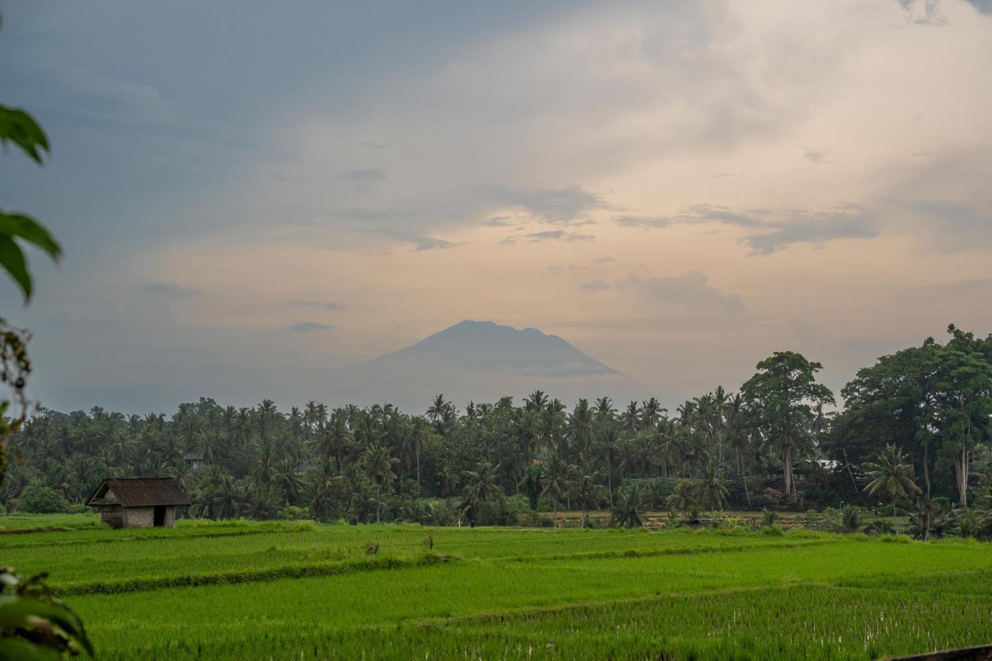 Kayu Senses - Private Villas Around Endless Ricefield Ubud  Exterior photo