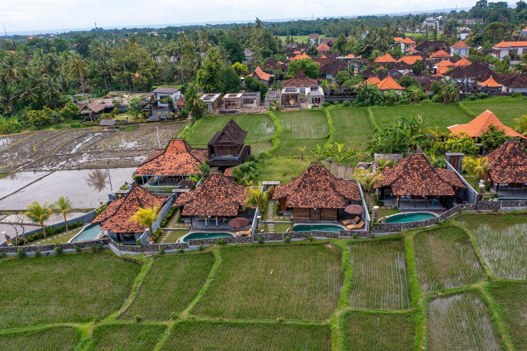 Kayu Senses - Private Villas Around Endless Ricefield Ubud  Exterior photo