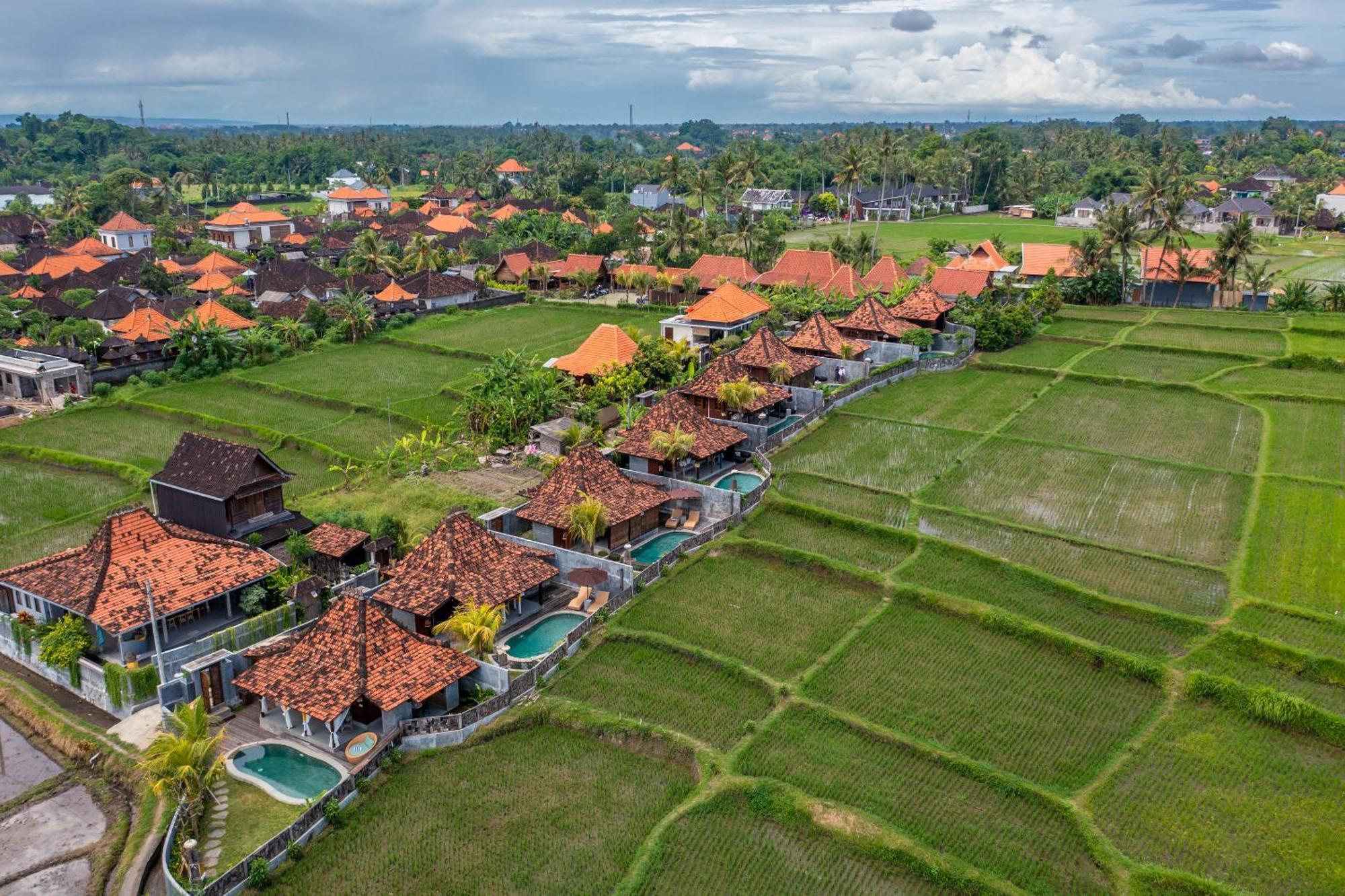 Kayu Senses - Private Villas Around Endless Ricefield Ubud  Exterior photo