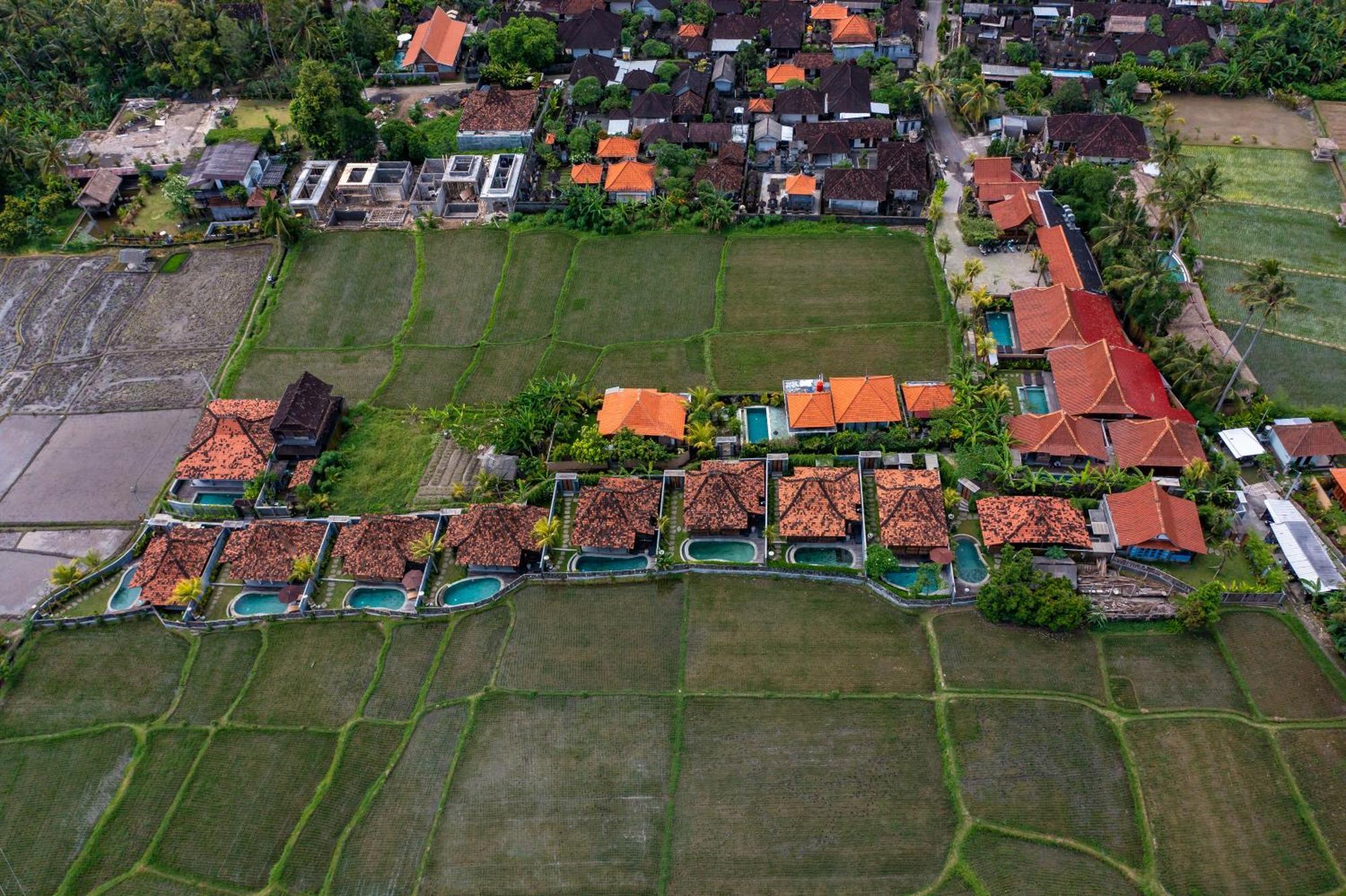 Kayu Senses - Private Villas Around Endless Ricefield Ubud  Exterior photo
